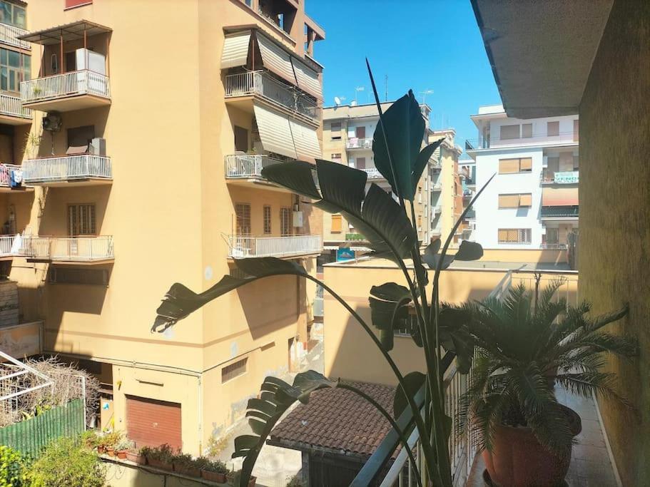 Cento House Roma